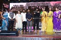 Tiger Nageswara Rao Pre Release Event Set2